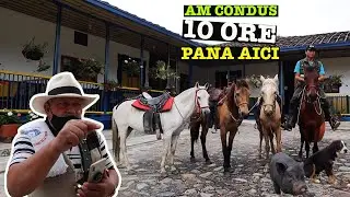 Cazati la o FERMA in muntii Columbiei: SURPRIZELE se tin lant | Salento