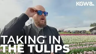 Wooden Shoe Tulip Festival offers glasses to people who are colorblind