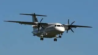 ornier 328 Landing at Bern Airport | Nice Engine Sound