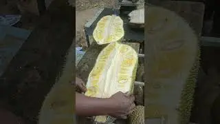 77 ചക്ക