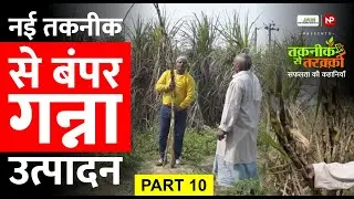 गन्ने की नई तकनीक से खेती, मिला बंपर उत्पादन | Sugarcane Farming | #ganna ki kheti | News Potli