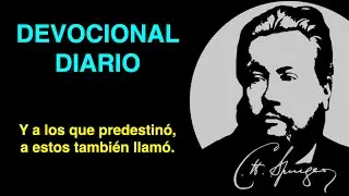 Y a los que predestin&oacute;, a estos tambi&eacute;n llam&oacute;. (Romanos 8:30) Devocional de hoy Charles Spurgeon