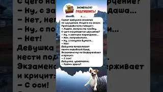 #юмор #мем #смешновидео #смехпродлеваетжизнь #прикол #смешнойшортс #шуточное