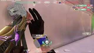 THIS MOUSE IS INSANE (mz1 wireless)