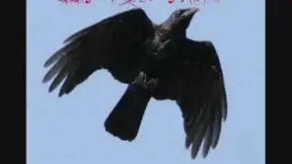 Happy Birthday, Crow!