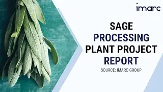 How to Start a Sage Processing Plant: Project Cost Analysis