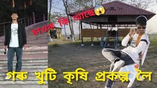 গৰু খুঁটি কৃষি প্ৰকল্প লৈ,, চাওক কি সুন্দৰ 