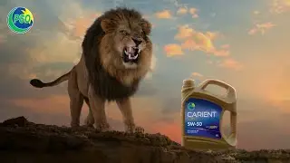 Pakistan State Oil | Conquer With Carient