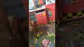 Рома Тихомиров