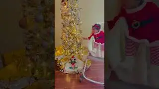 Christmas party #firstvlogger #flowers #shorts #shortvideo #subscribe #status #shortvideoviral #fun