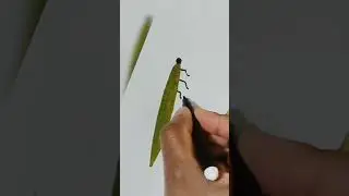 Draw insects using leaves/Insect drawing/DIY insects project/Leaves insect/Realistic insects #shorts