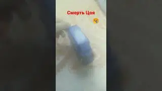 цой