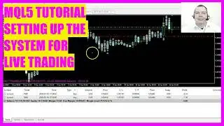 MQL5 TUTORIAL - SETTING UP THE ROBOT TRADING SYSTEM FOR LIVE TRADING
