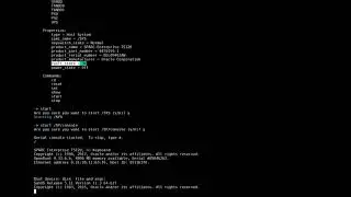Oracle T5120 Server + ILOM + Solaris 11