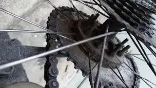 I'M BACK ....   10,000 miles on motorized bike