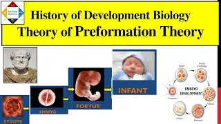 History of Embryology | Preformation Theory | Encasement Theory | Spermist  Theory | Ovulist | Ovist