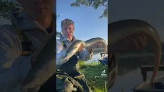 Perfekt K&ouml;fi auff&auml;deln👌🏼🐟 #fishing #angeln #fish #baitfishing #tutorial #howto #learn #eel