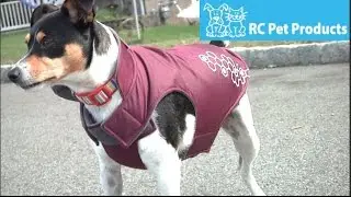 Venture Outerwear Coat from RC Pet Products