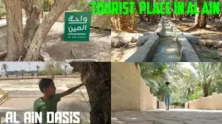Walk in Al Ain Oasis United Arab Emirates 2022 I Benuttan Vlogs I Must Visit Tourist Place in UAE🇦🇪