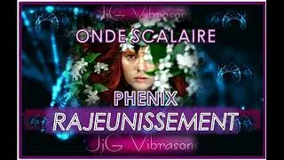 PH&Eacute;NIX REGENERATION / BEAUT&Eacute; JEUNESSE - 2 soins Scalaires en 1 - 432 HZ + Soin Pr&eacute; r&eacute;&eacute;quilibrage