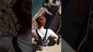 Pflastern Time Lapse