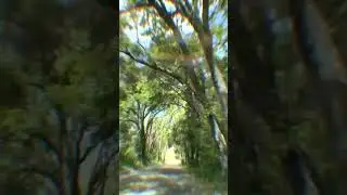 4K Pacific coast highway 1 Scenic Drive from Big Sur, California to Santa Barbara