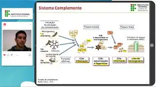 Imunidade Inata   Sistema complemento