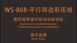 WS 868 Angle Cut