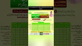 NEW PAID INTERNSHIP PROGRAM FOR VETS BY CM PUNJAB 2025 🇵🇰