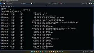 FTP Server bypass With Default Credentials Vulnerability on Live Website | Bug Bounty | POC 2023