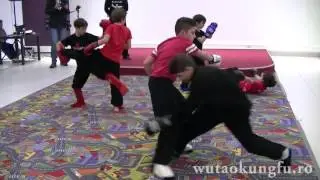 Wushu Sanda Arte Martiale Copii