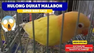 GRABE! SAYANG! DATING 6K NGAYON BALIK NA SA TOTOONG PRESYO PANOORIN KUNG BAKIT! February 3, 2026