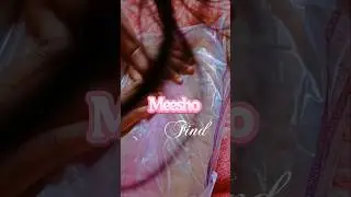 Testing The Viral Hair Brush From Meesho