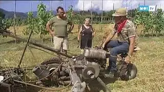 E' tempo di andare a mietere il grano