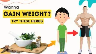 Herbs for Healthy Weight Gain: Natural Ways to Add Pounds
