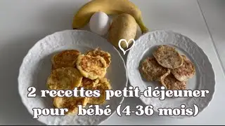Petit-D&eacute;jeuner Sain : 2 Recettes pour B&eacute;b&eacute;s et Enfants (6-36 mois) | Prise de Poids