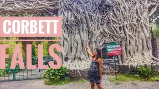 Corbett Falls, Ramnagar Utthakhand|| place to visit on Jim Corbett trip