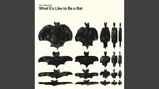 What It's Like to Be a Bat 8