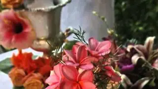 US Virgin Islands Wedding: Spotlight on St. Thomas