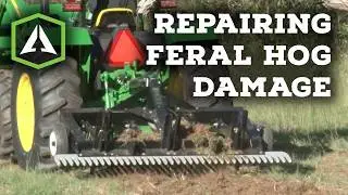 Repairing Feral Hog Damage - TR3 Rake