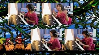 Donkey Kong Country 2 - Stickerbrush Symphony (JemyMusic Cover)