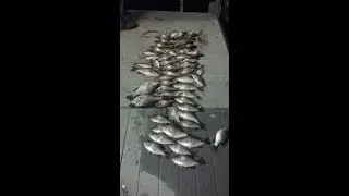 Pre-Spawn Crappie Fishing dipping standing timber. Pro-Built Jigs, Fle-Fly and Beaver Bottom baits