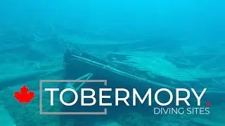 Tobermory diving sites, Ontario