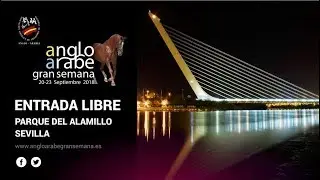Gran Semana del Caballo Anglo-&aacute;rabe de Sevilla 2018