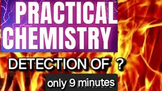 distinguish test in organic chemistry class12/practical chemistry neet 2025