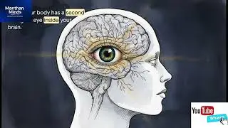 Third EYE 👁️: The truth and science behind 