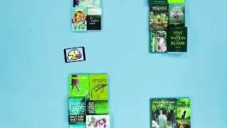 Saxo.com - Flappy Bird, meget er mere simpelt