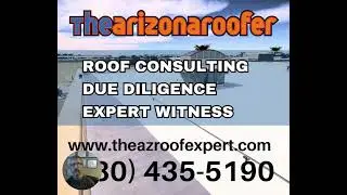 ROOF CONSULTING DUE DILIGENCE EXPERT WITNESS 1