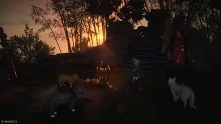 Meow Meow's Treasure: Acupoint Strike Mystic Skill &ndash; Sage's Knoll | Where Winds Meet PS5