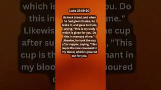 Journey of faith and spiritual growth | Luke 22:19-20 Daily Bible Verse